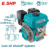 TOTAL ΕΠΑΓΓ. ΚΙΝΗΤΗΡΑΣ ΒΕΝΖ. 196cc - 6.5HP ΣΦΗΝΑ (TGEN16821)